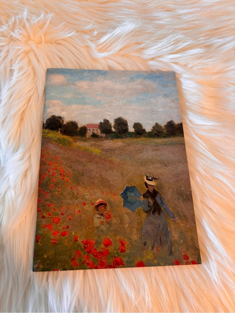 Musee d’Orsay Monet Journal